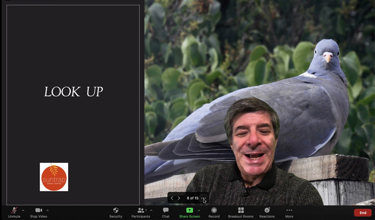 How to Use a PowerPoint as a Background in a Zoom Meeting or Webinar ...